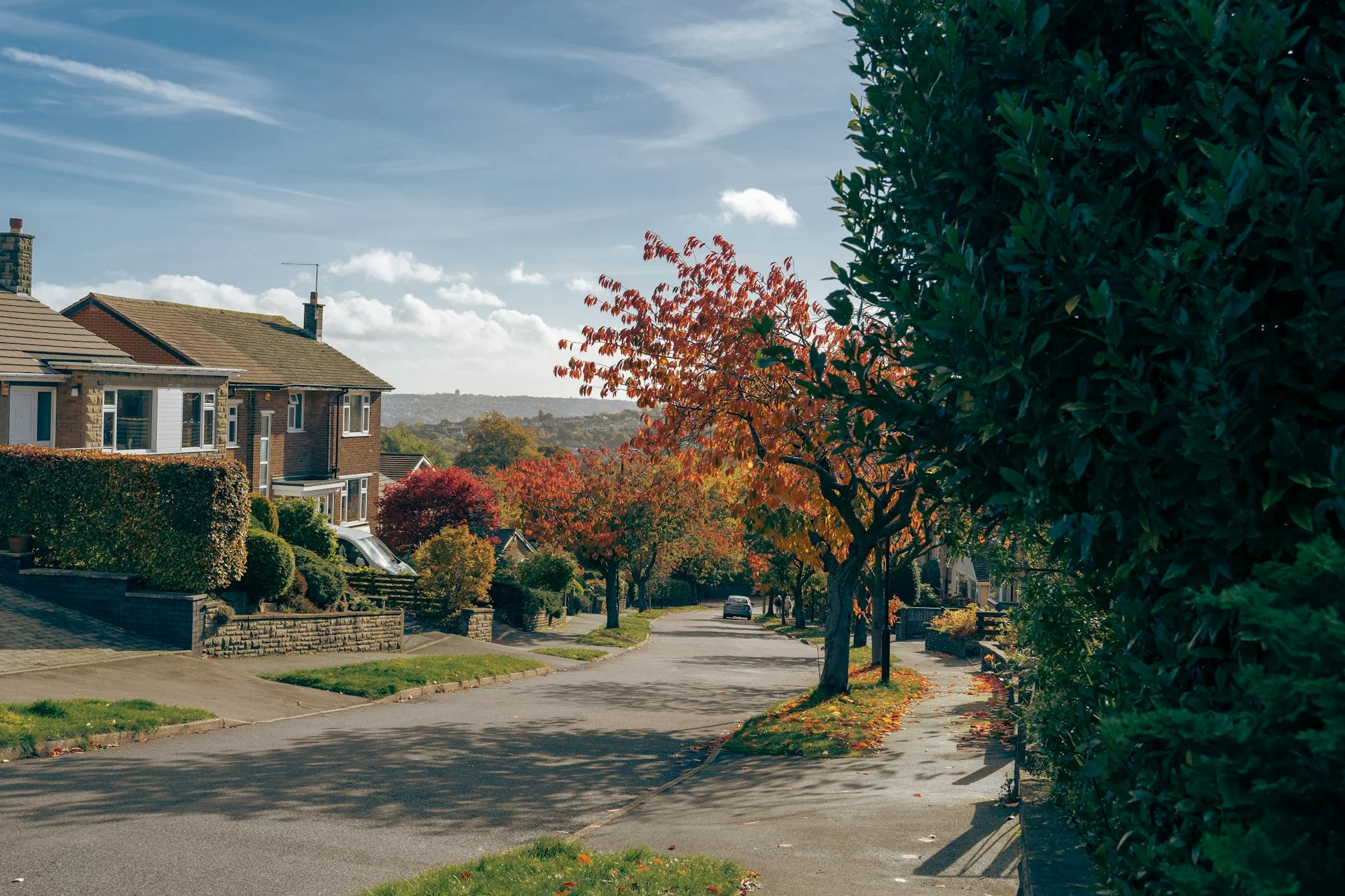 RESIDENTIAL SURVEYS